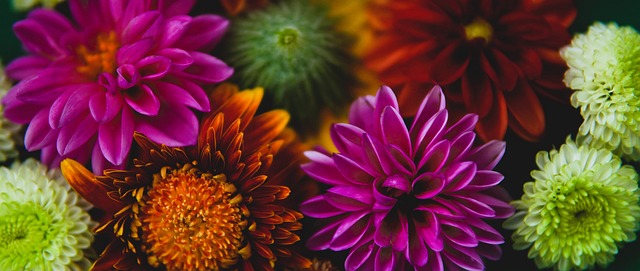 保持他的高 保持他的高